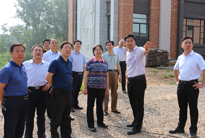 市委书记陈俊莅临新建商中项目检查指导工作