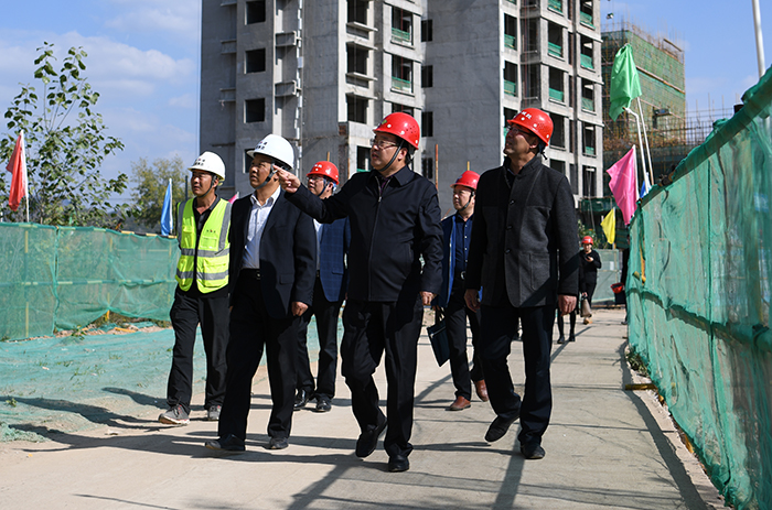 曹宝良董事长丹鹤绿洲项目检查指导工作