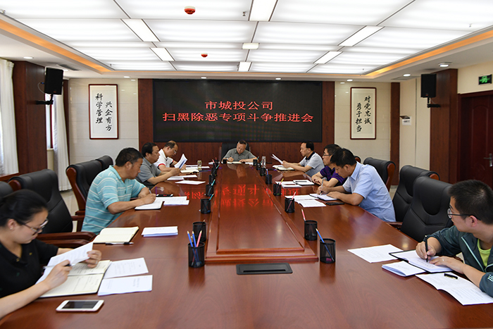 市城投公司召开扫黑除恶专项斗争推进会