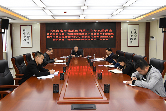 中共商洛市城投公司总支委员会召开领导干部违规插手干预工程建设和矿产开发突出问题专项整治工作动员会