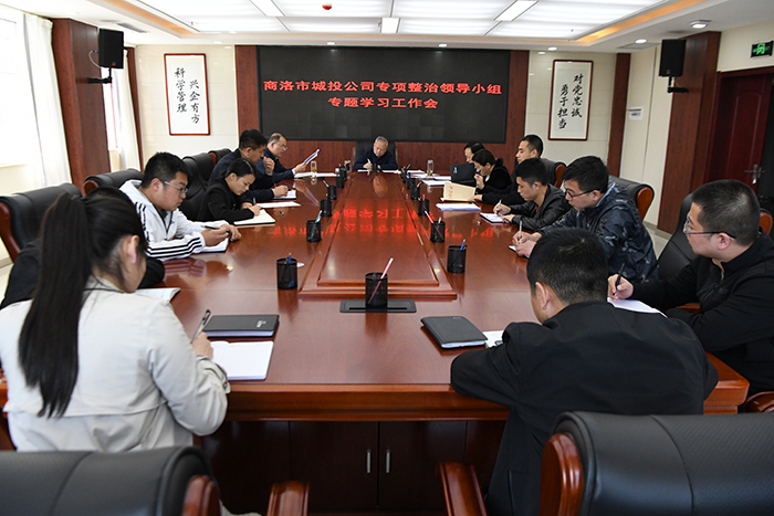 市城投公司专项整治领导小组召开专题学习工作会