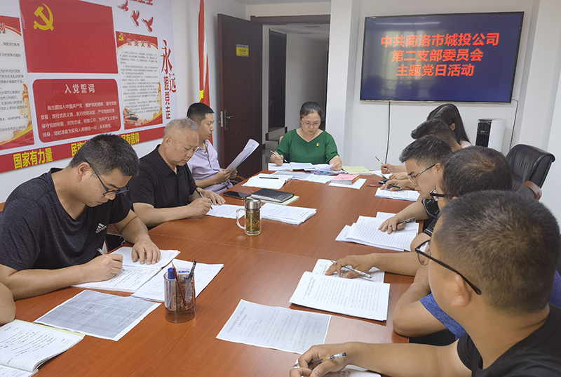 公司第二党支部举行学习习近平总书记在庆祝中国共产党成立100周年大会上的重要讲话精神心得交流会