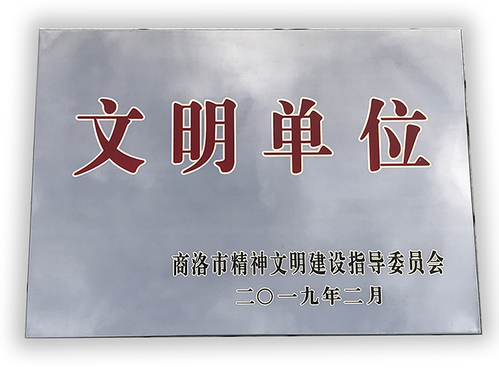 市城投公司荣获县级文明单位称号