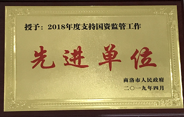 市城投公司荣获2018年度国资监管工作先进单位