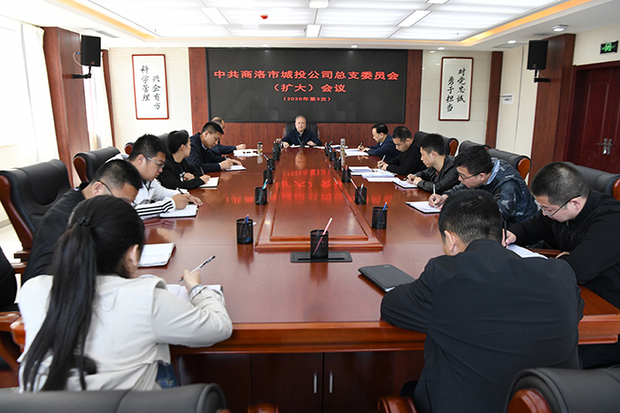 市城投公司召开总支委员（扩大）会议    传达学习习近平总书记来陕考察重要讲话     重要指示精神