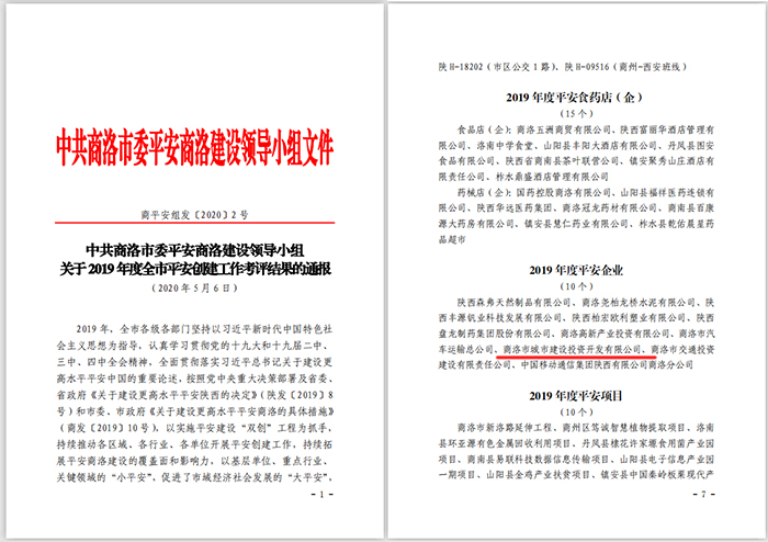 市城投公司荣获2019年度平安企业称号