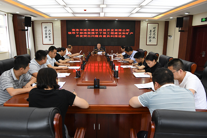 市城投公司召开领导干部违规插手干预工程建设和矿产开发突出问题自查自纠推进会