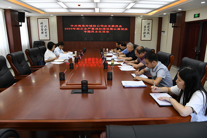 市城投公司领导班子召开赵正永严重违纪违法案以案促改专题民主生活会