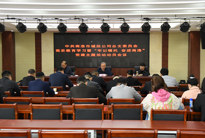 公司党总支召开党史学习教育暨“牢记嘱托、奋进商洛”党建主题活动动员会议