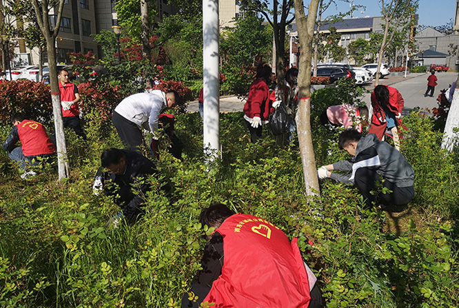 公司第一党支部开展“秦岭最美是商洛·生态卫士我先行” 主题党日暨志愿者服务活动