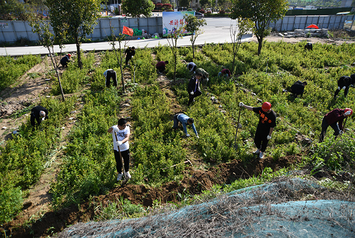 公司第二党支部开展“牢记书记殷殷嘱托,争做 秦岭生态卫士”党建实践活动