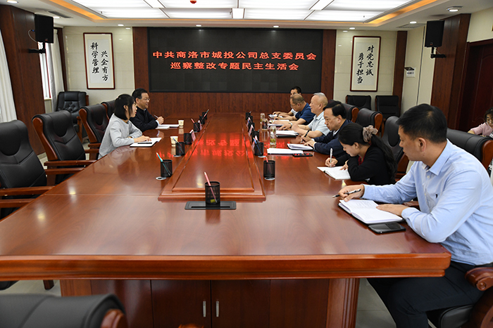 公司党总支召开巡察整改专题民主生活会