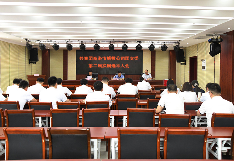 公司团支部圆满完成换届选举工作