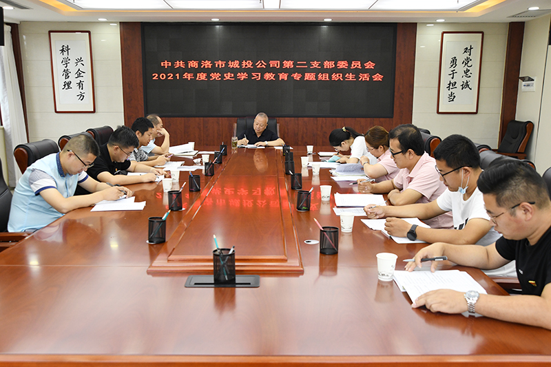 公司第二党支部召开2021年度党史学习教育专题组织生活会