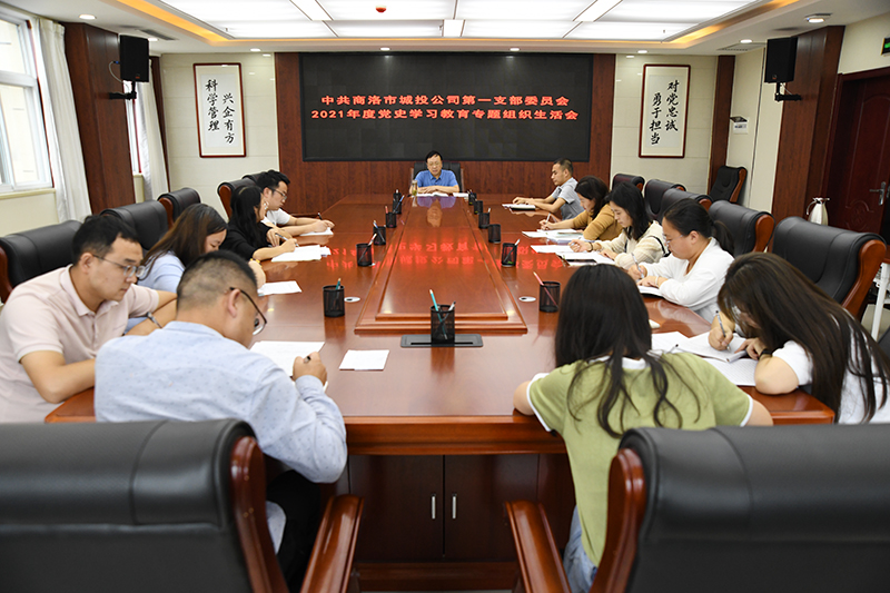 公司第一党支部召开2021年党史学习教育专题组织生活会