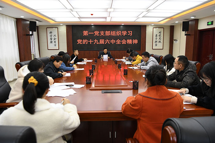 公司第一党支部组织学习党的十九届六中全会精神